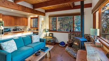 Smart TV, fireplace, books