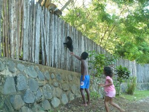 Property grounds - Large vacation home, Nosy Be, sandy beach and private pool (NOSY BE)