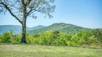 A grassy field with a large tree in the foreground and a mountain range in the background.