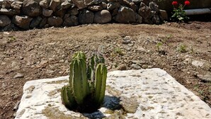 A cactus in a planter, a stone wall, and a building with white and red walls and shutters. - Cycladic Charming Studio in Mykonos (Mykonos)