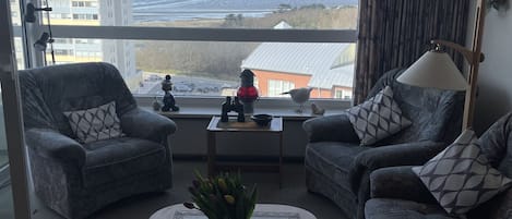 Televisor