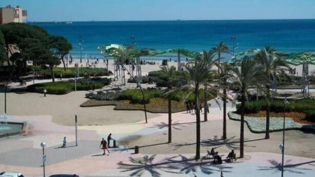 Un paseo marítimo con palmeras, una playa y un cielo azul despejado.