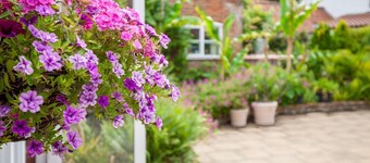 The Cow Barn - sleeps 6 guests in 3 bedrooms