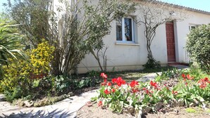 A house with a garden, a window, and a door.