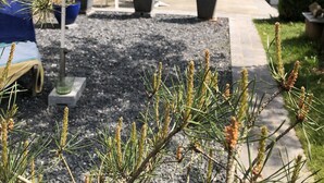 Eine Terrasse mit Sitzgelegenheiten im Freien, Kübelpflanzen und einem Weg zu einem Gebäude.