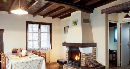Charming Cottage: Fireplace, Terrace, Play Area, Near St-Galmier