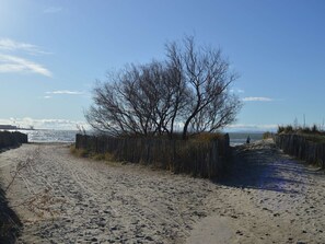 Ein Sandstrand mit Holzzaun und kahlen Bäumen.