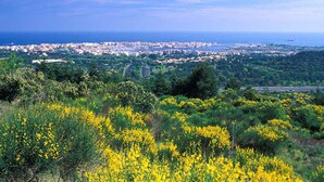 A coastal cityscape with a view of the sea and a green area with yellow flowers in the foreground. - Stylish 2-Story Villa with Pool, Near Beach, Sleeps 6, Parking, A/C (Cap d'Agde)