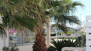 A balcony with a palm tree, a potted plant, and a view of a garden with purple flowers. - Cozy Studio with Pool Access, A/C, and Terrace in Port Ambonne (Cap d'Agde naturisme)
