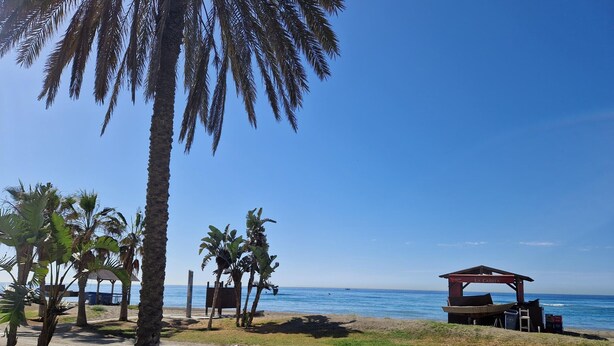 Una playa con palmeras, una estructura de madera que dice 'La Canita' y un cielo azul despejado.