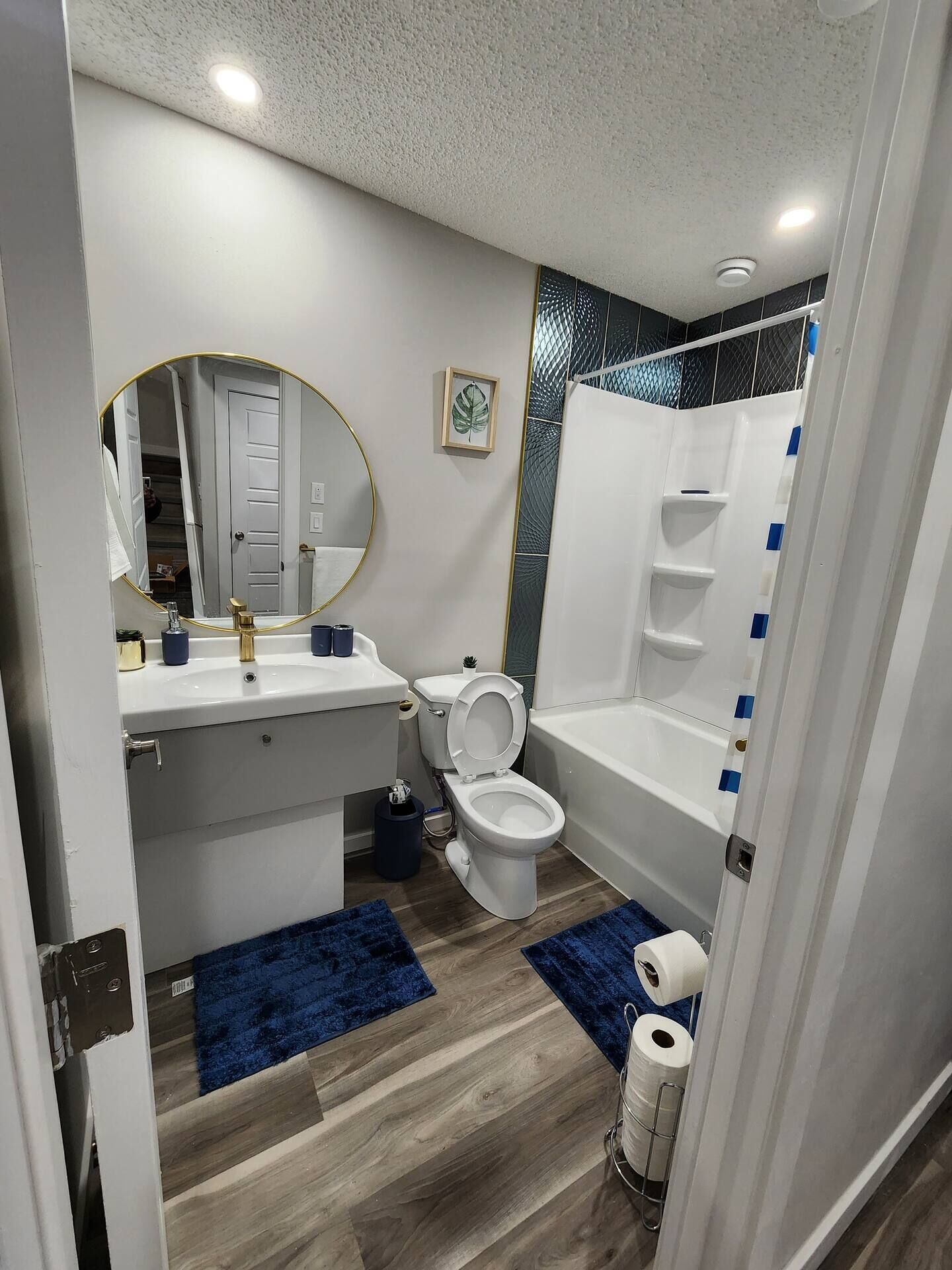 SafeAbode 1BR spacious and immaculate basement.