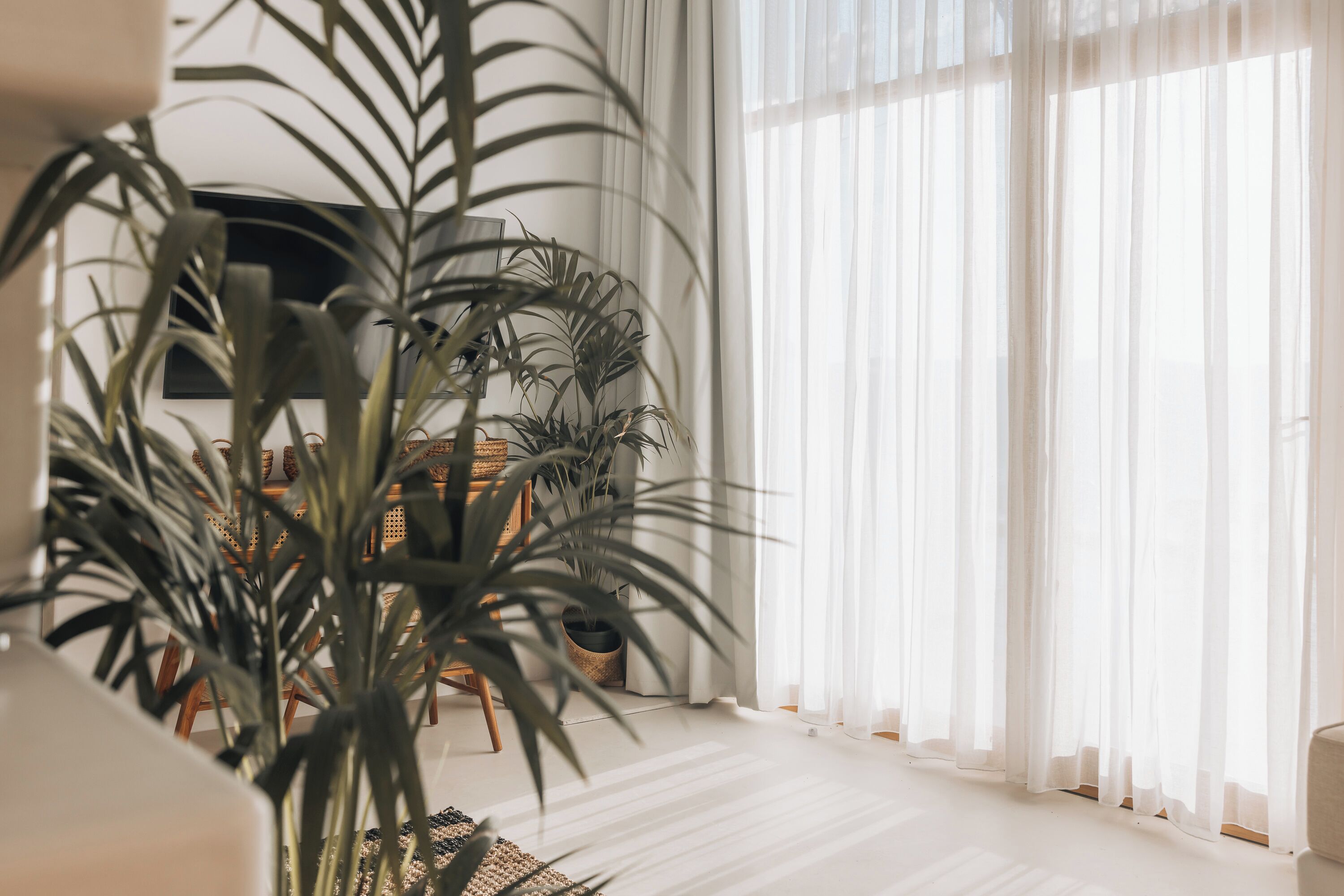 Foto - Divino Caldera