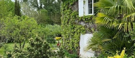 Área da propriedade