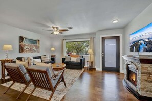 Smart TV, fireplace, books