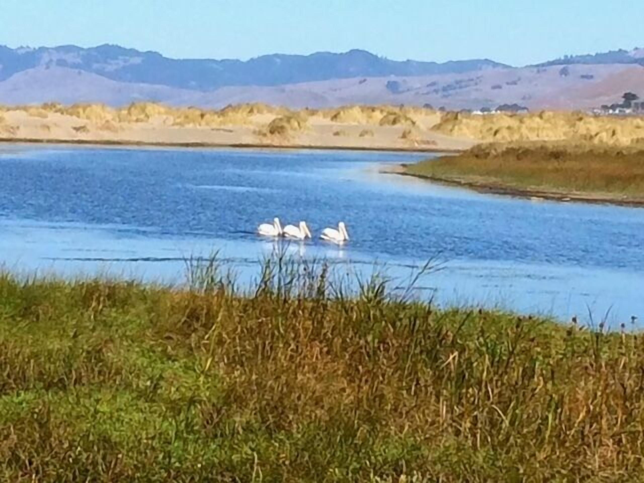 5 Min Walk to Beach! Fisherman's Cottage-25% Off 3rd Night! Avail Holidays!