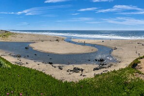 Beach nearby - Bodega Bay~Beach Retreat~Easy Walk to Sand-Surf-Fun–Fisherman’s Cottage (Bodega Bay)