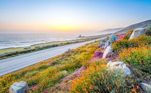 A coastal road with a view of the ocean and a road lined with colorful wildflowers.