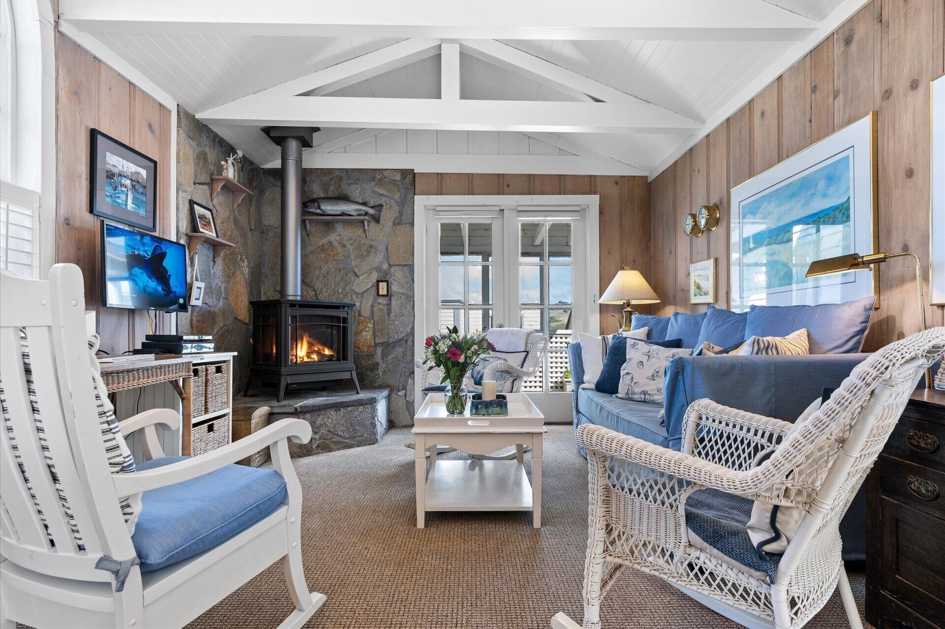 智能電視、壁爐、DVD 播放機、書籍