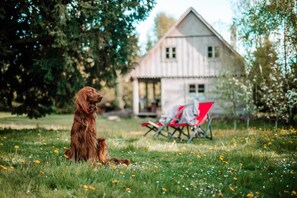 Property grounds - Large, atmospheric cottage in the countryside (Belczna)