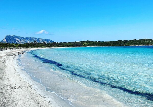 Beach - Villa Brandinchi Sea View Swimming Pool (San Teodoro)