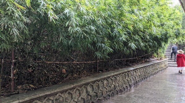 บริเวณภายนอก