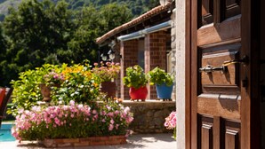 Une porte en bois avec une poignée en laiton, un mur de briques et un pot de fleurs contenant une plante aux fleurs roses.