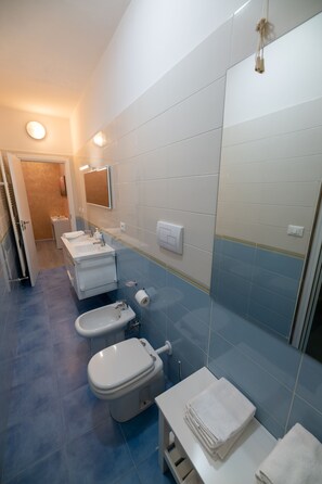 Shower, hair dryer, bidet, towels