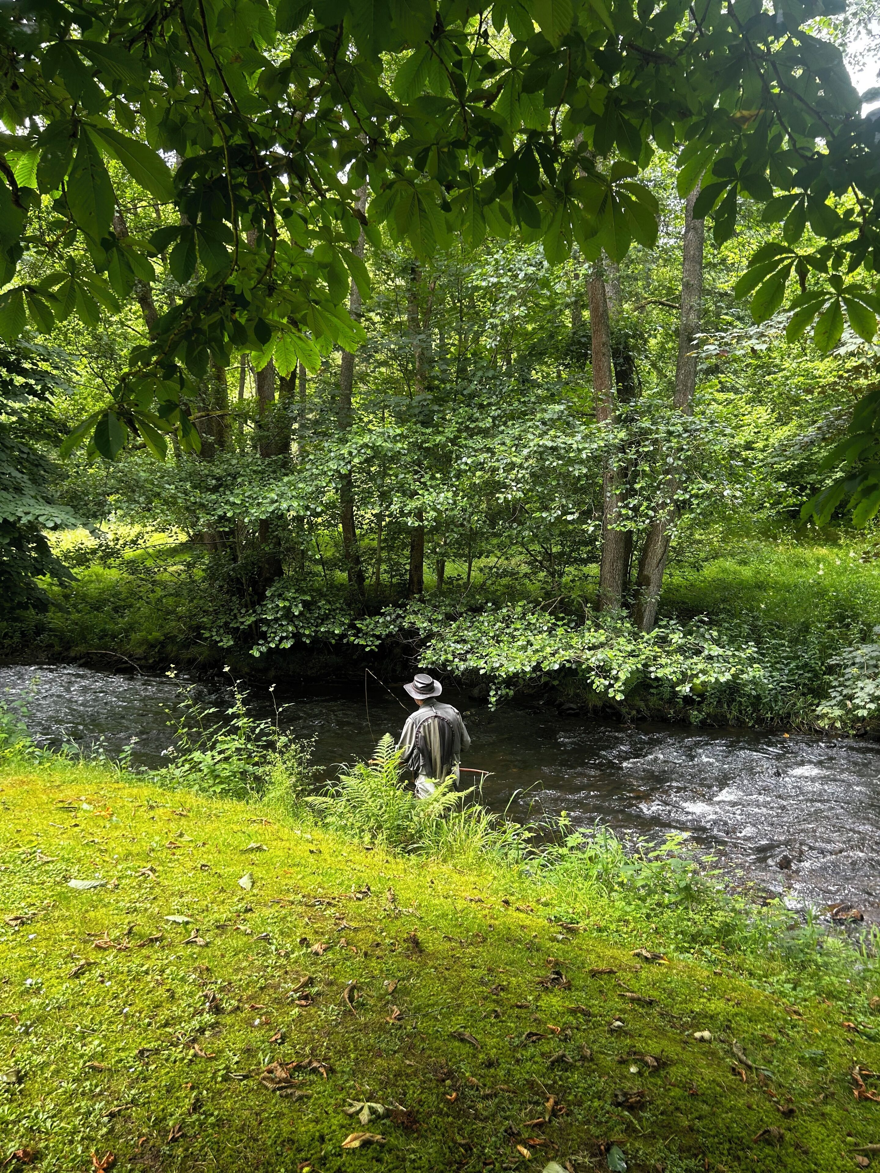 A natural outdoor setting with a river, dense greenery, and a person fishing.
