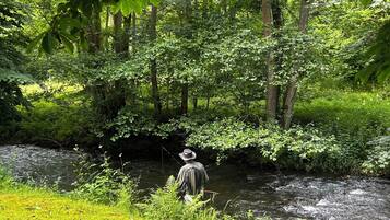 A natural outdoor setting with a river, dense greenery, and a person fishing.