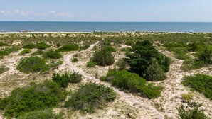 Eine Küstenlandschaft mit sandigem Strand, grüner Vegetation und blauem Himmel.