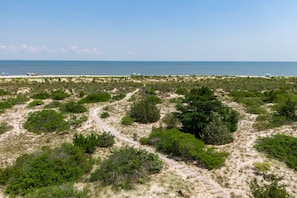 Stroll along the winding path through lush vegetation, surrounded by the soothing sounds of the ocean.