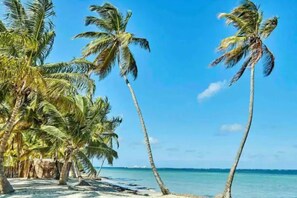 Sun loungers, beach towels - Punta cana los corals! (La Altagracia Province)
