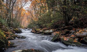 Un ruisseau de forêt, avec des rochers et des feuilles d’automne.