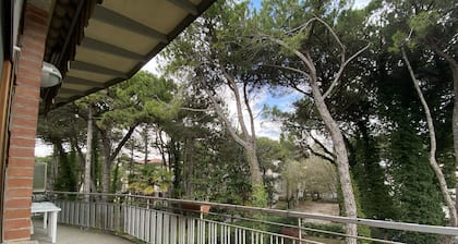 Large apartment in the heart of Lignano + parking! Suitable for one or more families!