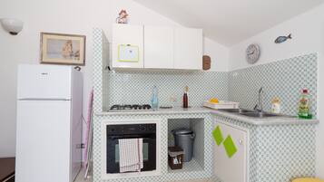 Panoramic-Apartment | Eigene KĂŒche | GroĂer KĂŒhlschrank, Herdplatte, Wasserkocher