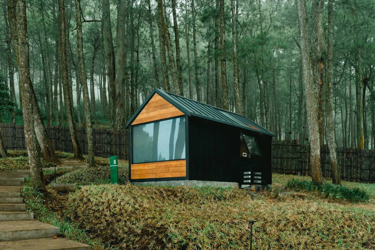 A modern cabin with a triangular roof, large windows, and a wooden deck, surrounded by a dense forest.