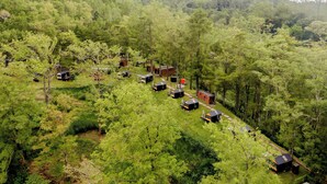 A forested area with multiple cabins and a mountain in the background. - Bobocabin Coban Rondo Malang (Pujon)