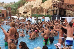 Apartment, 1 Queen Bed | Pool