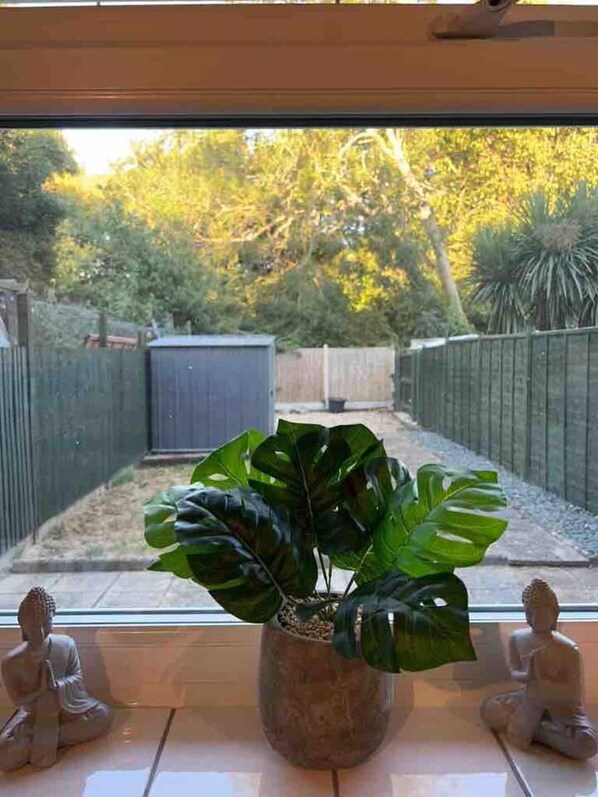 المنطقة المحيطة بالمنشأة