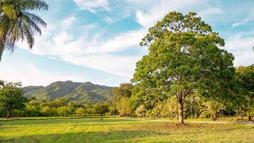 Un parco con un albero secolare, ampie zone verdi e montagne sullo sfondo.