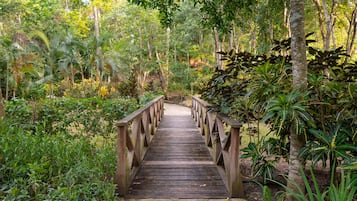 Jardín