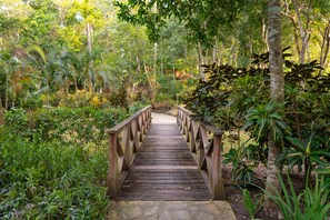 Un pont en bois, situé dans une forêt luxuriante, bordée d’une végétation dense de part et d’autre.