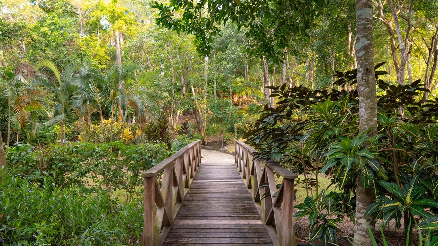 Hacienda La Huerta