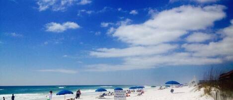 Playa