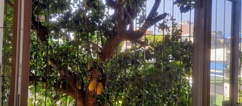 Spacious and comfortable place for peace lovers, for both short or long stay . 
