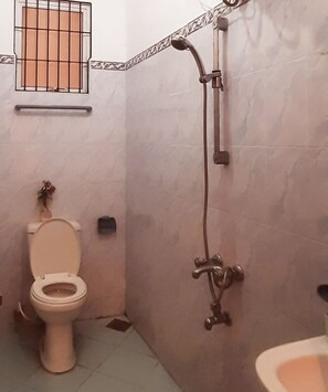 Bathroom features a toilet, showerhead, and potted plant.
