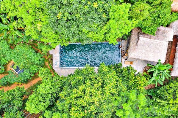 Vista aérea de un exuberante jardín con piscina y una estructura de techo de paja.