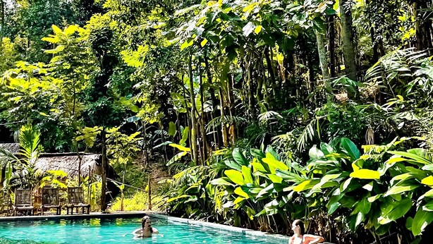 A pool surrounded by lush greenery and a thatched-roof structure. - Resort Pù luông Boutique Garden (Pu Luong)