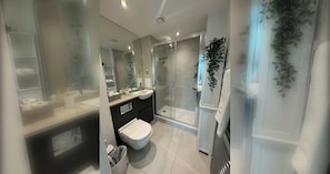 A modern bathroom with a glass shower enclosure, a white sink, and a toilet.