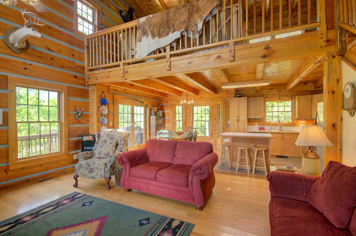 Doolittle Mountain Cabin River View w/Free Biltmore Pass and more